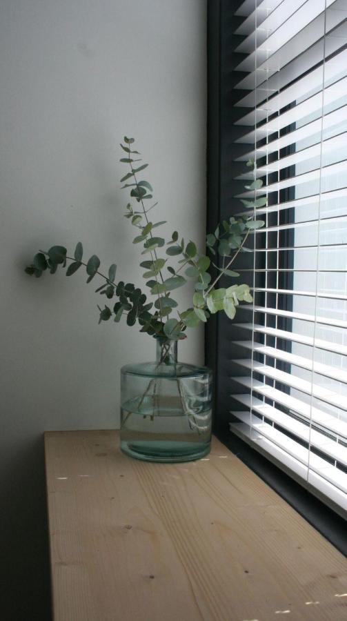 Apartament No. 9 Keurboom Kapsztad Zewnętrze zdjęcie
